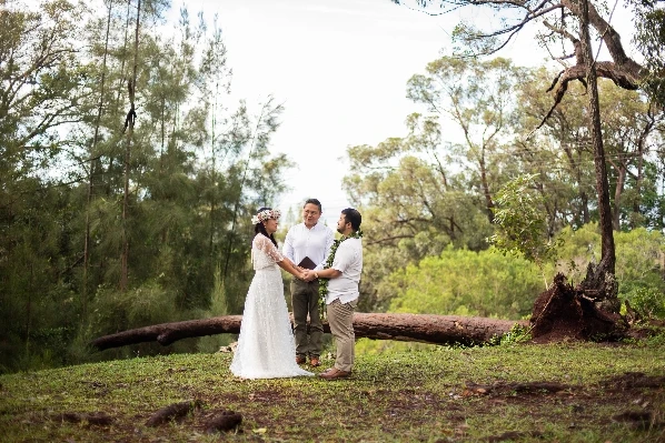 Wedding Elopement in Hawaii