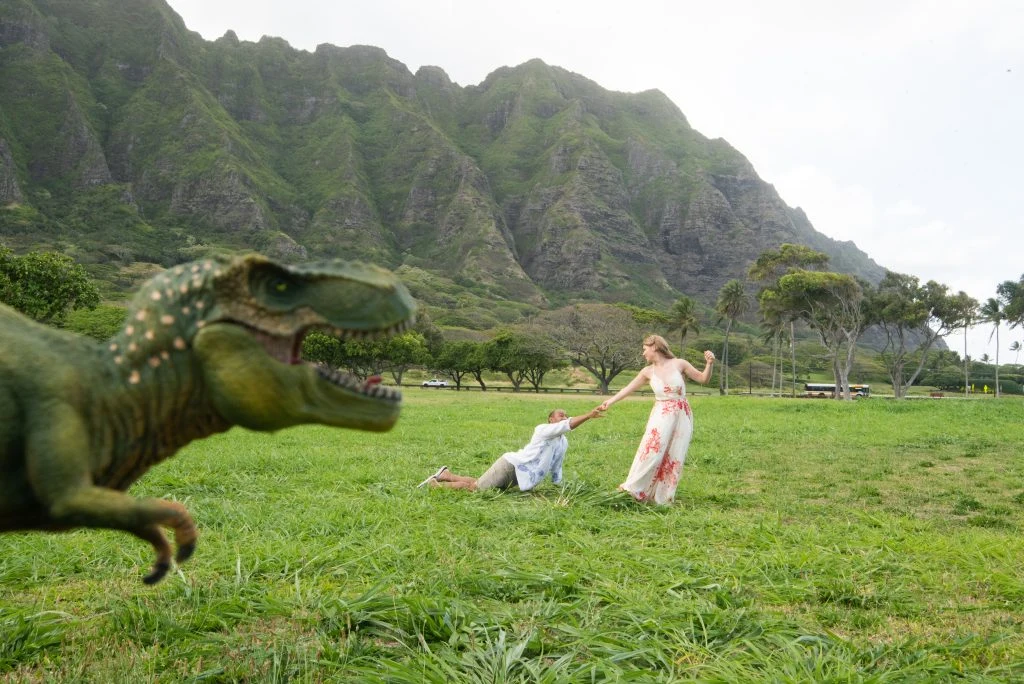 Wedding photoshoot
