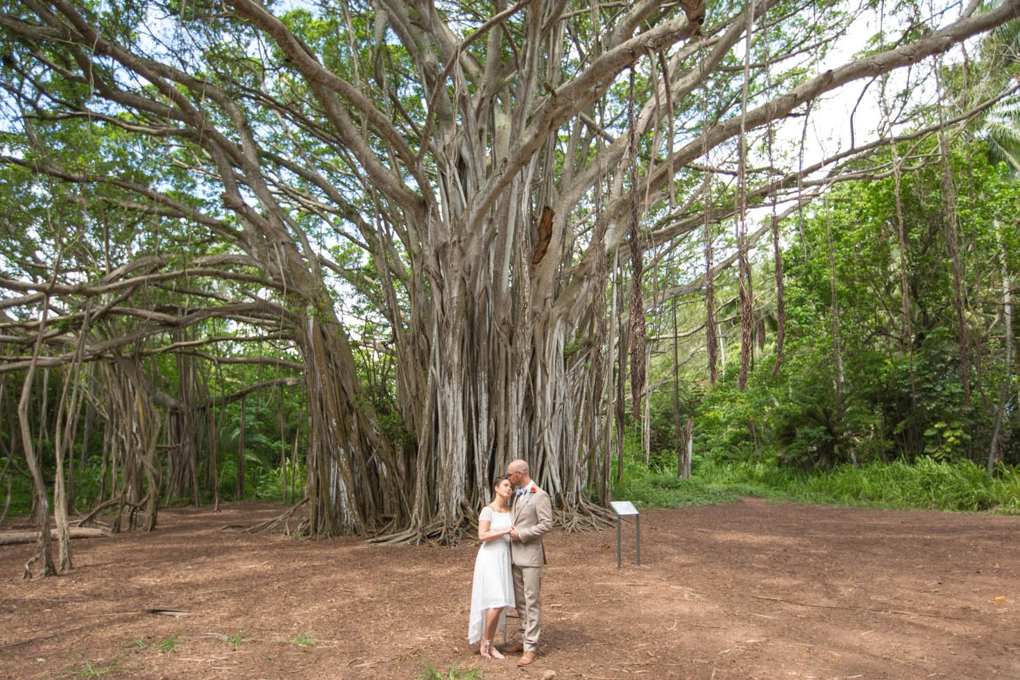 Wedding at Kawela Bay